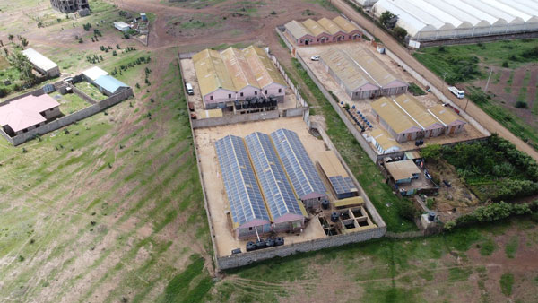 Grid-Solar-Ampsolar-Solution-1