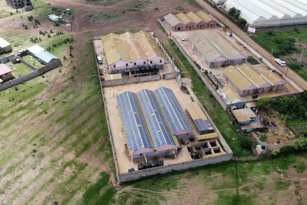 Amp Solar Portfolio (23)
